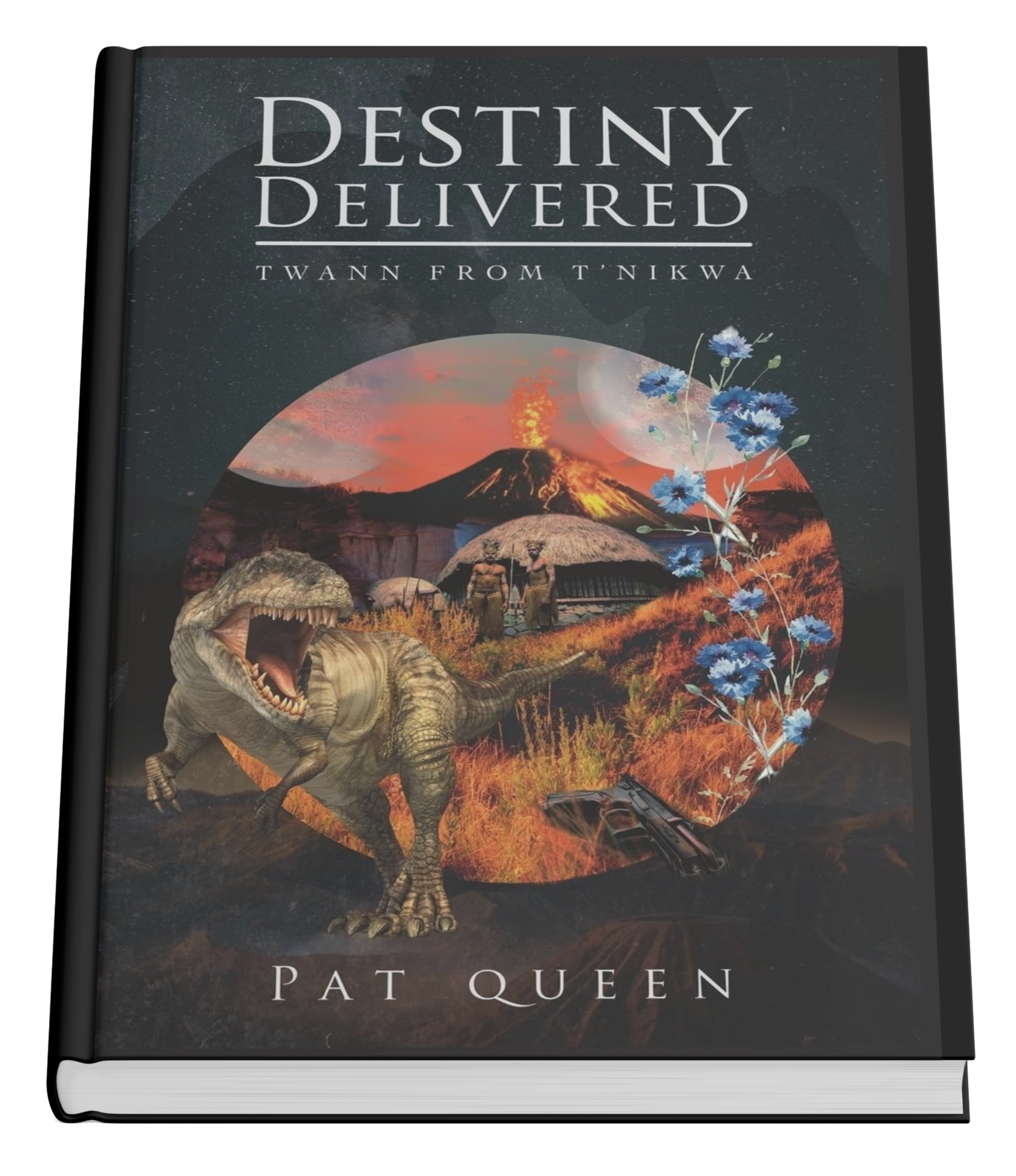 Destiny Delivered book cover